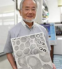 Японский учёный, молекулярный биолог Ёсинори Осуми